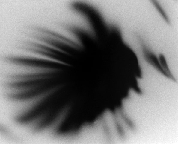 Common Inkblot — artistic photography by Jay Keenan
