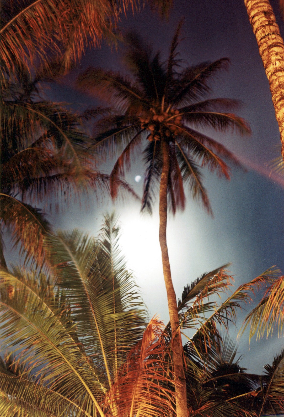 Evening in Kauai — photography by Jay Keenan