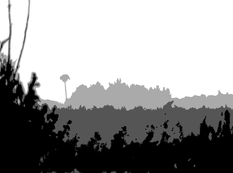 Everglades and the Palm Tree CTO Version — artistic photography by Jay Keenan