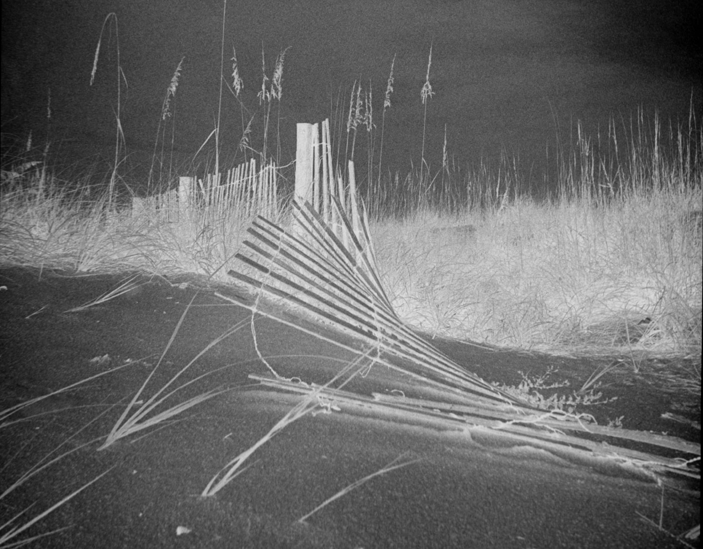 Jax at 5 O'Clock — artistic photography by Jay Keenan