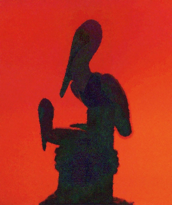 Pelican Silhouette — photography by Jay Keenan