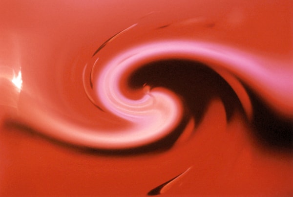Red Carline with Waterdrops — artistic photography by Jay Keenan