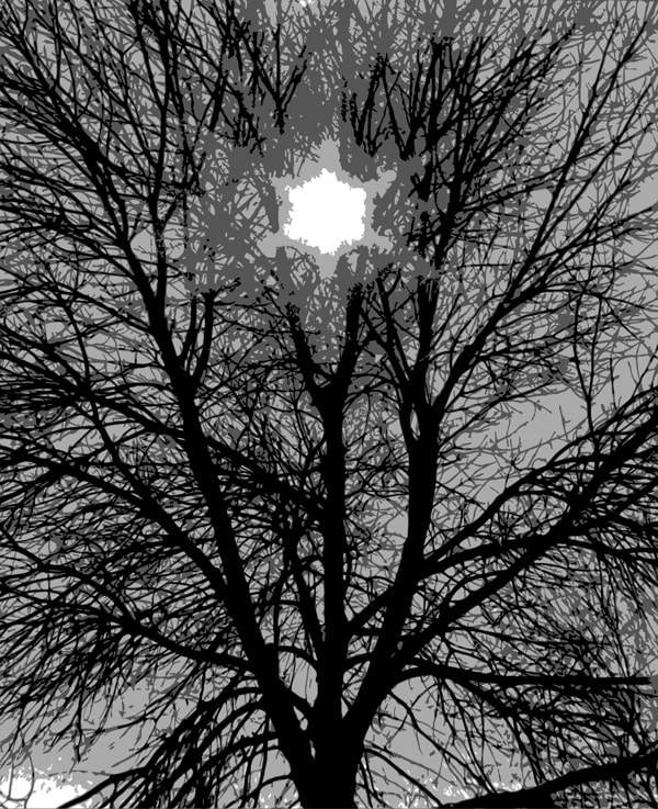 Six Pointed Star in the Tree CTO Version — artistic photography by Jay Keenan