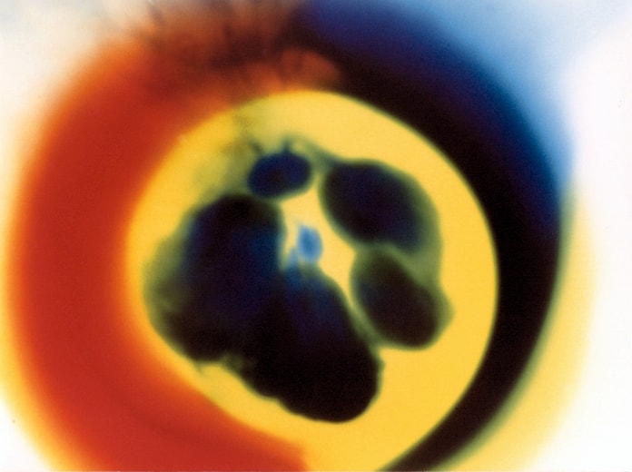 Water Colored Paw Print — artistic photography by Jay Keenan