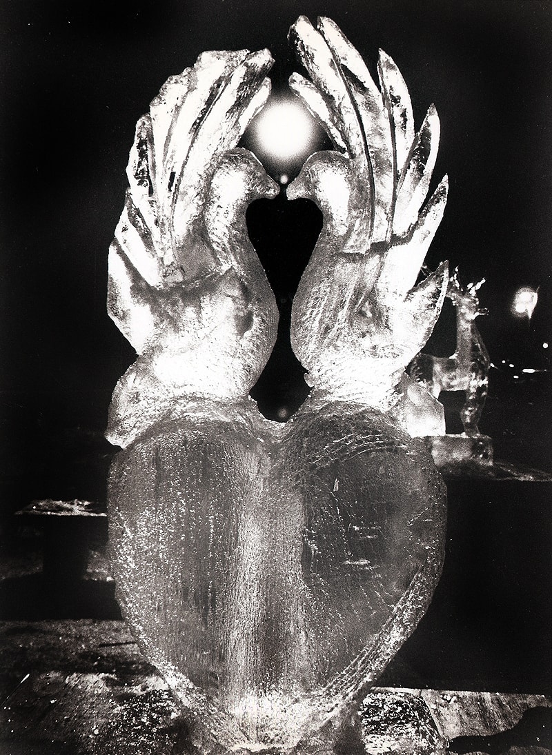 Ice Birds — photojournalism by Jay Keenan